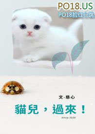 猫儿眼图片